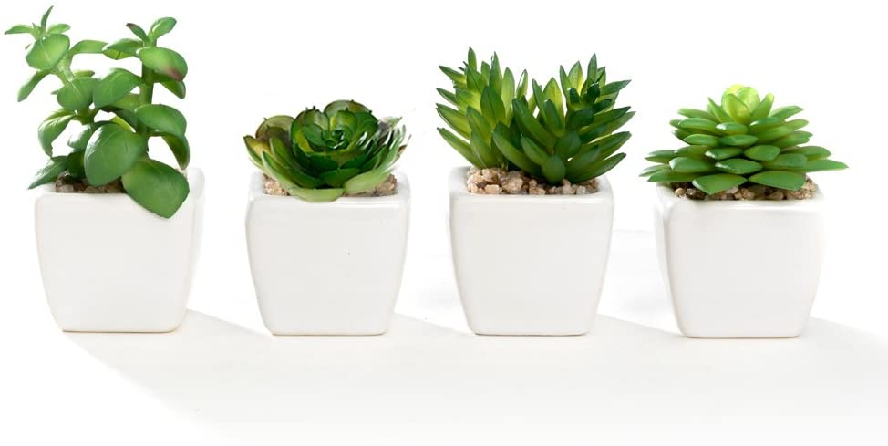 Nattol Small Artificial Succulent Plant Potted in White Ceramic Pots for Home Decor, Set of 4