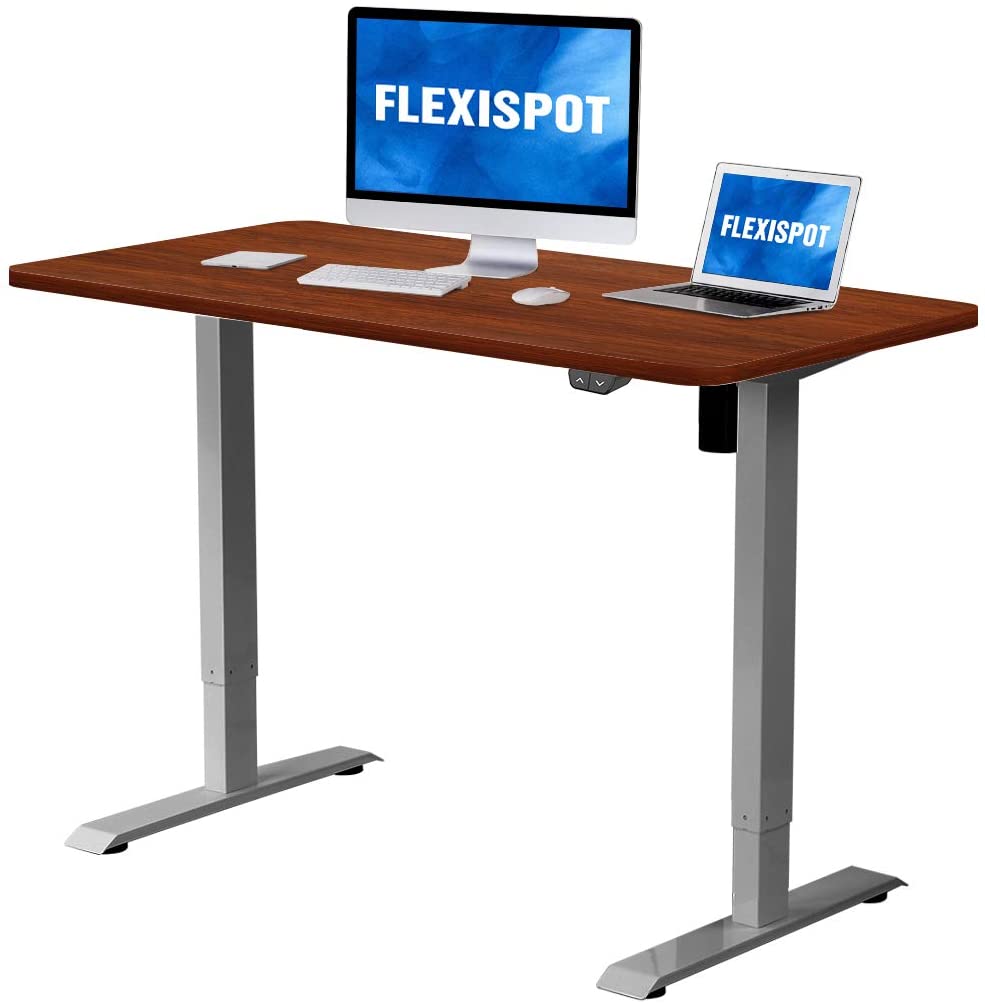 Flexispot Adjustable Desk, Electric Standing Desk Sit Stand Desk, 48 x 30 Inches Whole-Piece Desk Board Home Office Table Stand up Desk(Gray Frame + 48 in Mahogany Top)