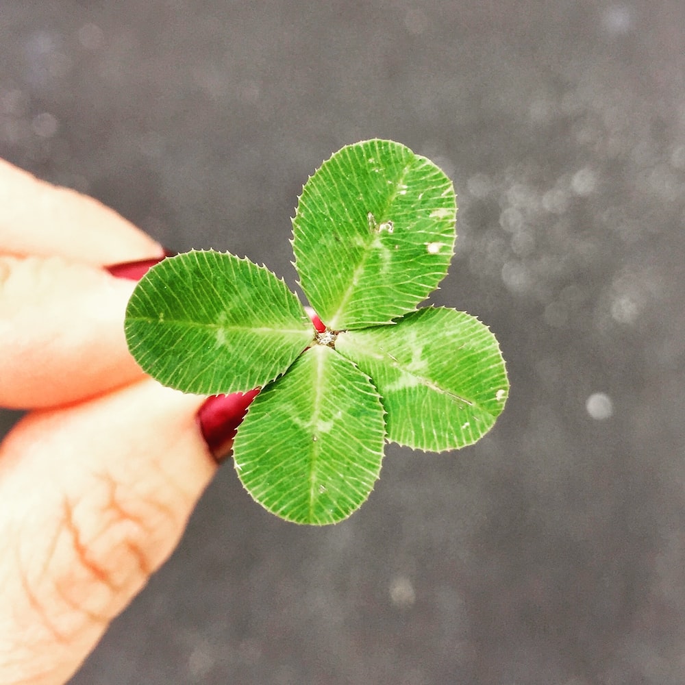 How can I attract good luck and money?