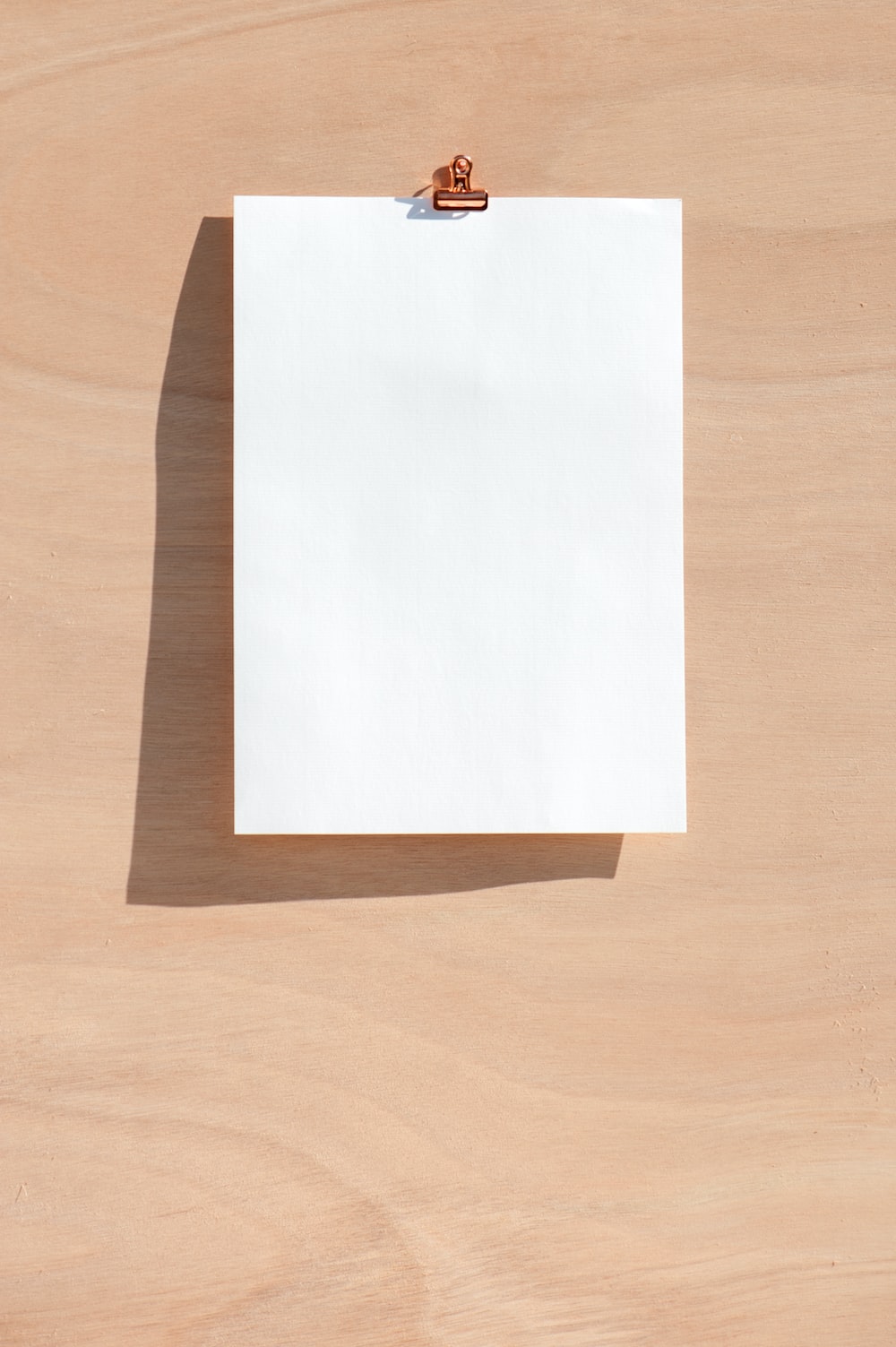 What are the 4 standard paper sizes?