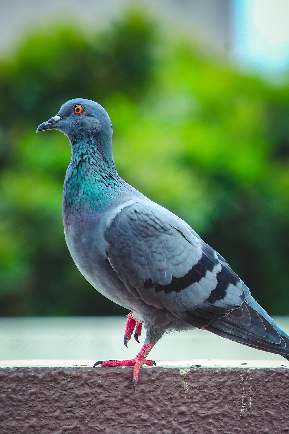 What is pigeon hole method of filing?